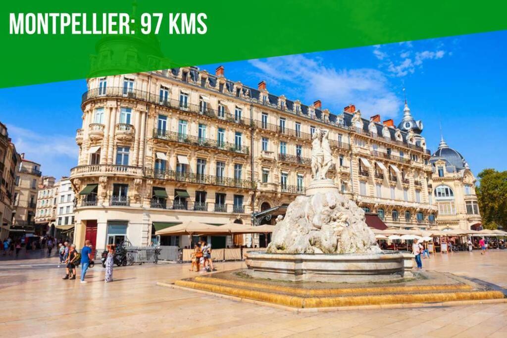 Le Pi-Gnotte - Wi-Fi - Centre Ville Avignon Kültér fotó