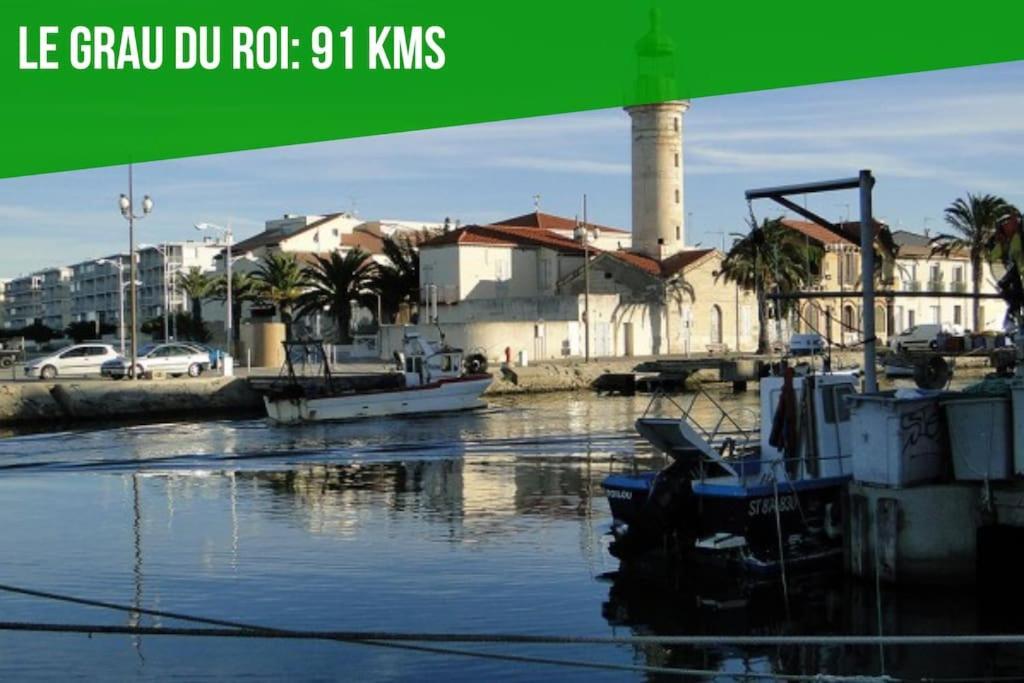 Le Pi-Gnotte - Wi-Fi - Centre Ville Avignon Kültér fotó
